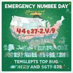 День номера экстренного вызова (Emergency Number Day) в США