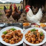 Всемирный день курицы (World Chicken Day)