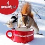 День угощения птиц и белок