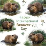 Международный день бобра (International Beaver Day)